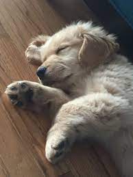 Karamel